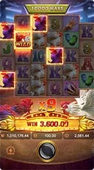 e88 · Rooster Rbl
